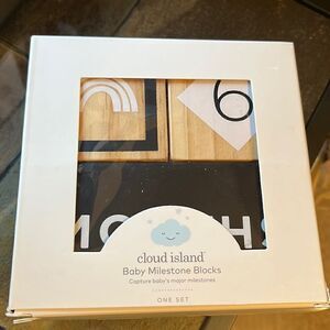 Baby Milestone Blocks